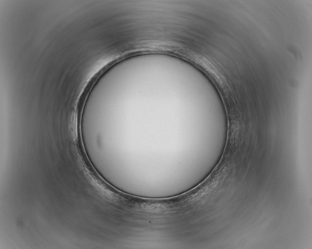 X0000112501079200908311447