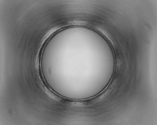 X0000112501082200908311447