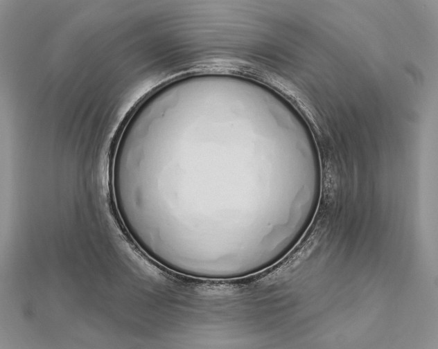 X0000112501083200908311447