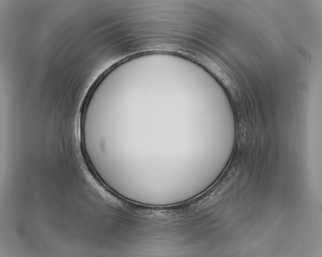 X0000112501084200908311447