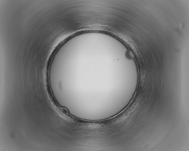 X0000112501085200908311447