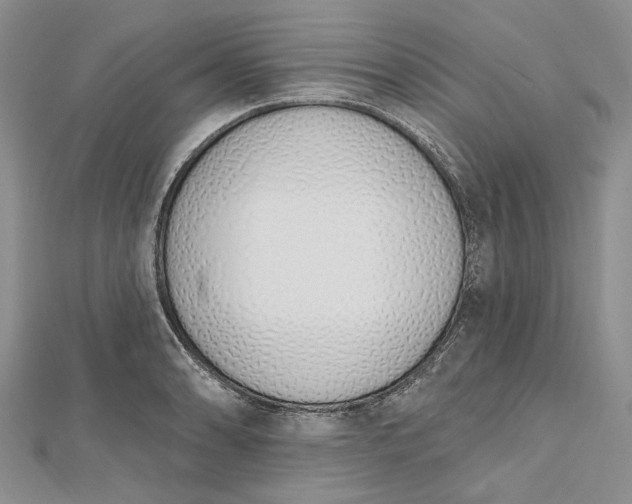 X0000112501086200908311447