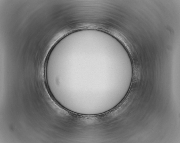 X0000112501090200908311447