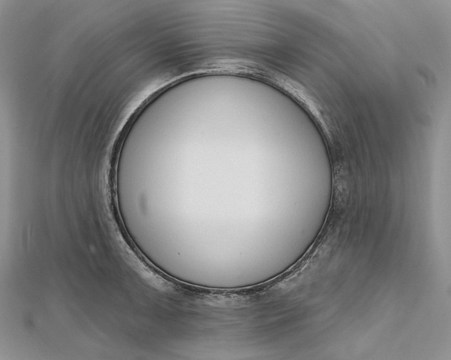 X0000112501091200908311447