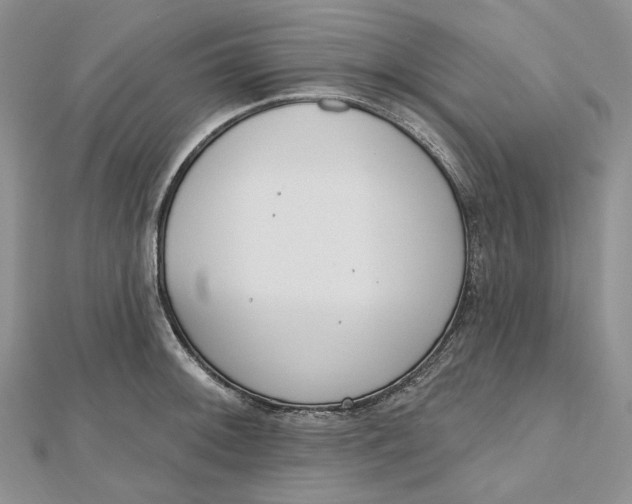 X0000112501092200908311447