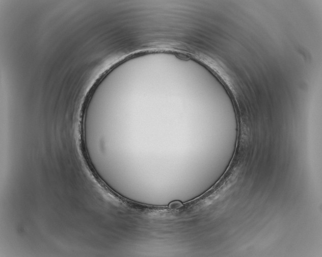 X0000112501093200908311447