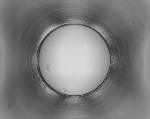 X0000112501094200908311447