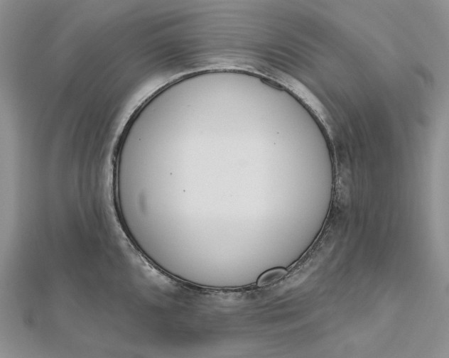 X0000112501096200908311447