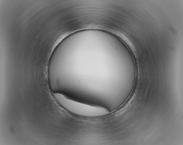 X0000112501097200908311447