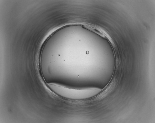 X0000112501101200908311447