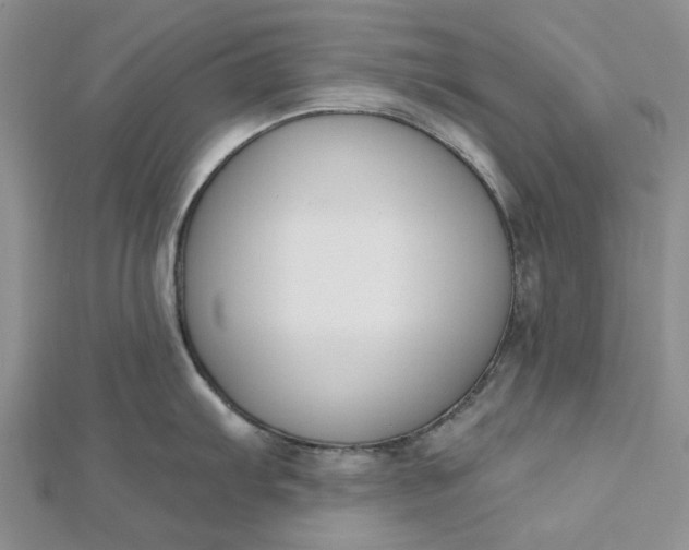 X0000112501103200908311447