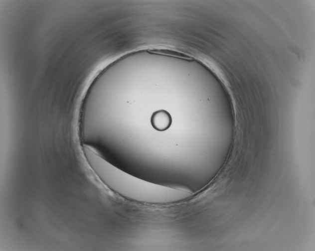 X0000112501104200908311447