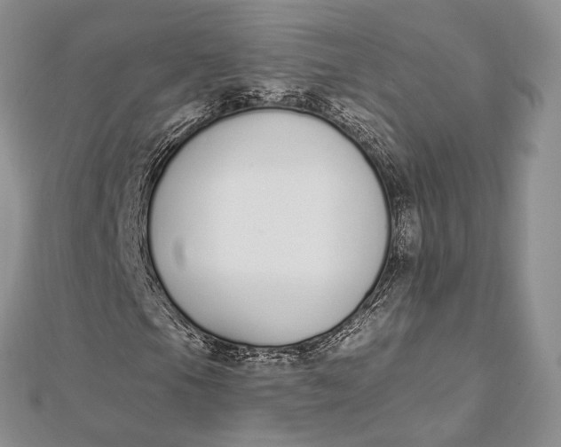 X0000112501105200908311446