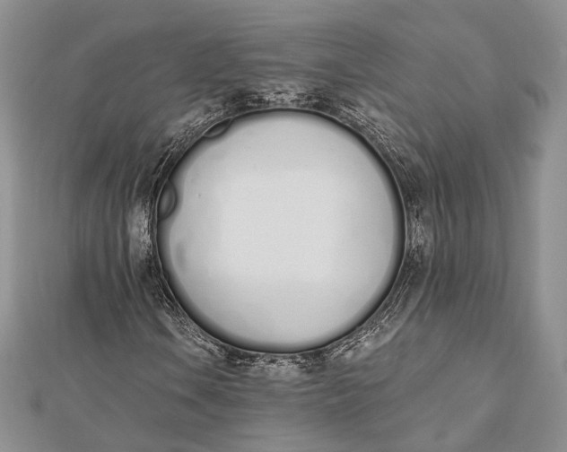 X0000112501106200908311446