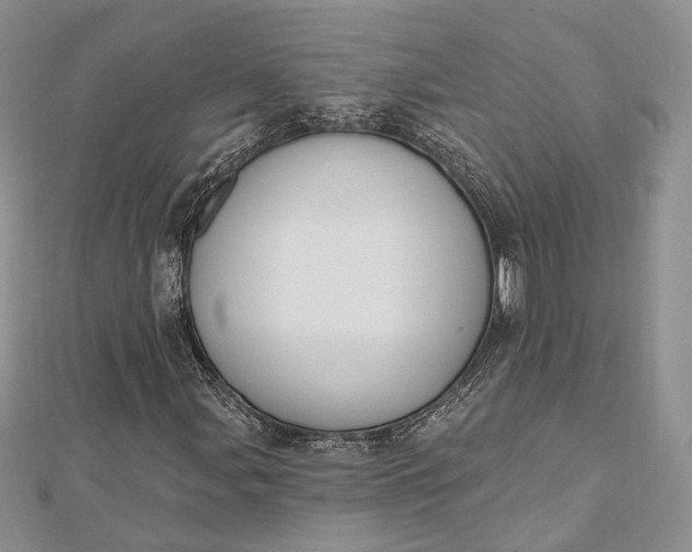 X0000112501107200908311446