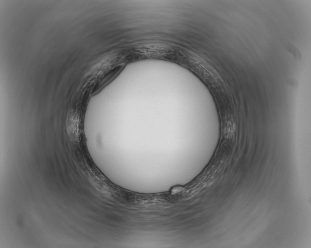 X0000112501108200908311446