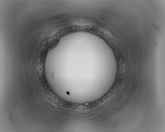 X0000112501109200908311446