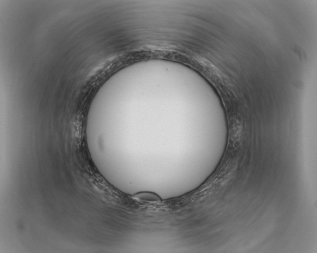 X0000112501110200908311446