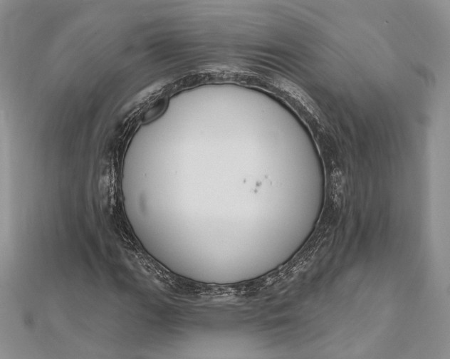 X0000112501111200908311446