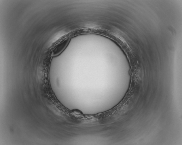 X0000112501112200908311446