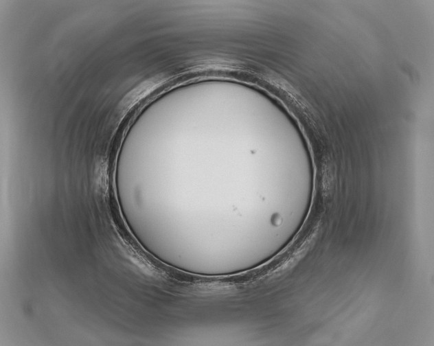 X0000112501113200908311446