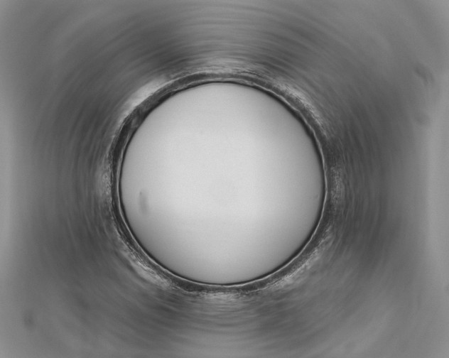 X0000112501114200908311446