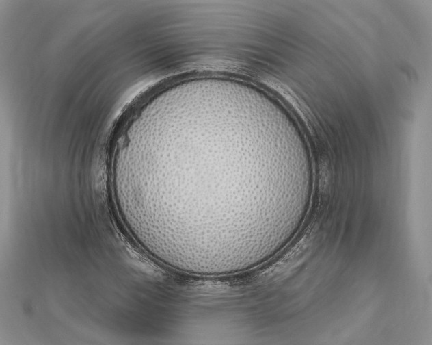 X0000112501115200908311446