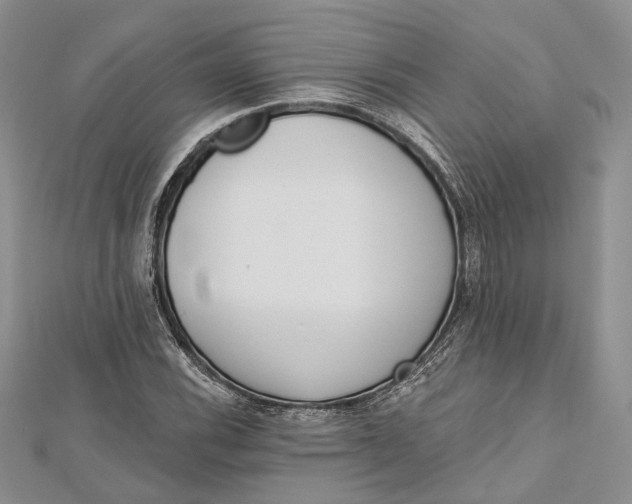 X0000112501116200908311446