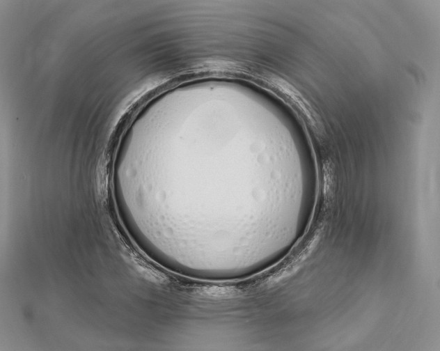 X0000112501117200908311446