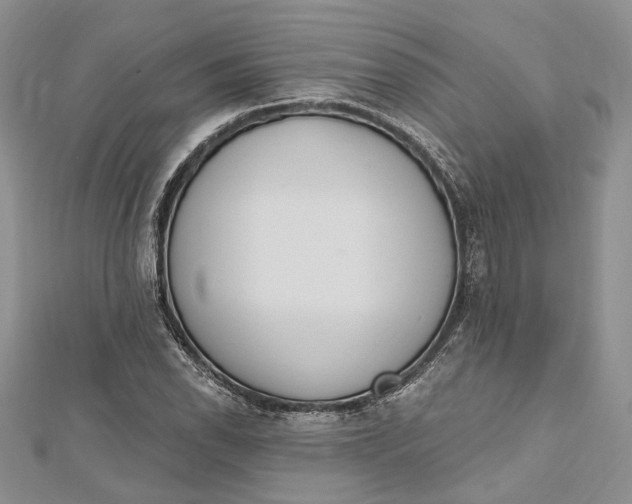 X0000112501118200908311446