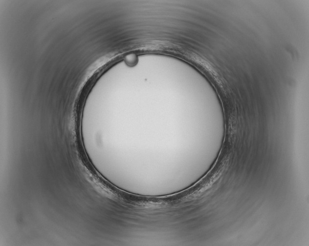 X0000112501122200908311446