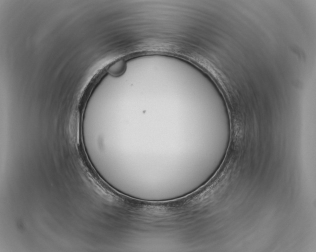 X0000112501123200908311446