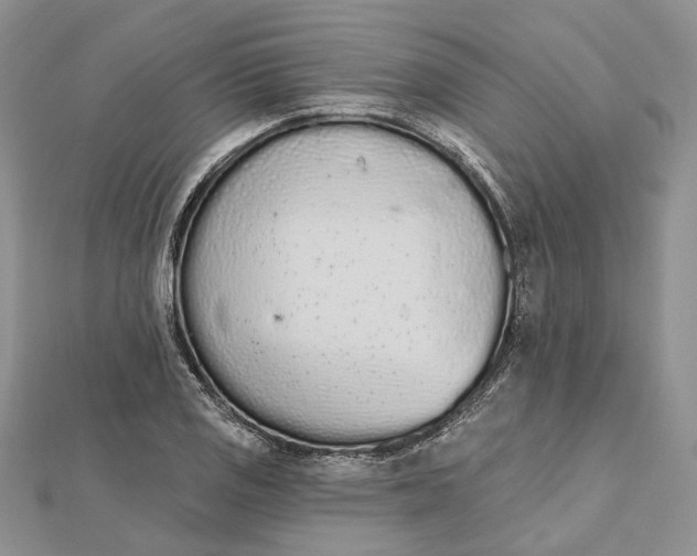 X0000112501125200908311446