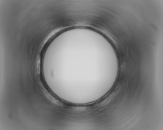 X0000112501126200908311446