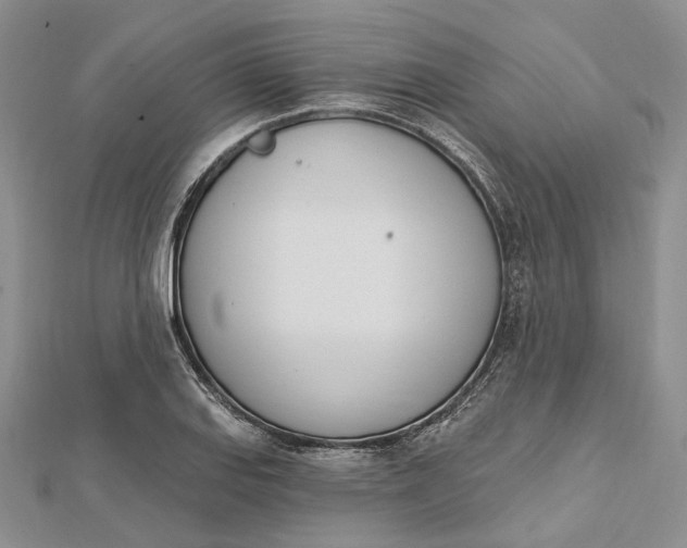 X0000112501127200908311446