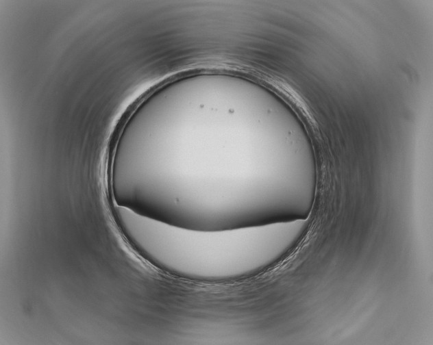 X0000112501128200908311446