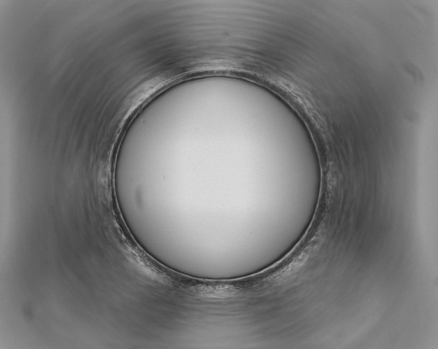 X0000112501129200908311446