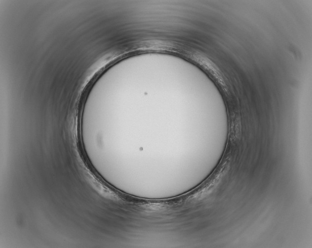 X0000112501130200908311446