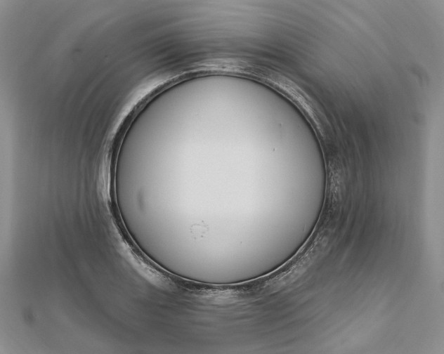 X0000112501131200908311446