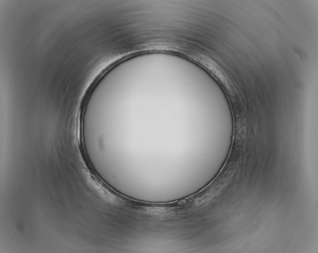 X0000112501132200908311446