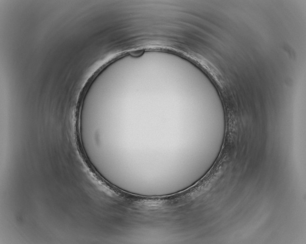 X0000112501134200908311446