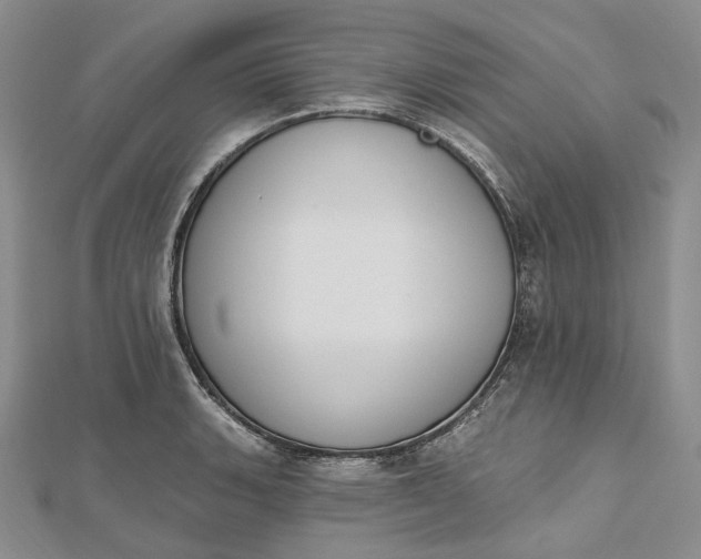 X0000112501135200908311446