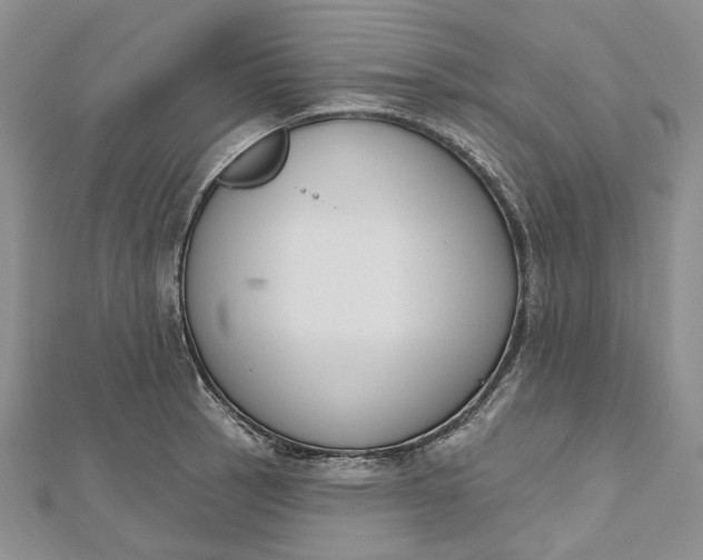 X0000112501137200908311446