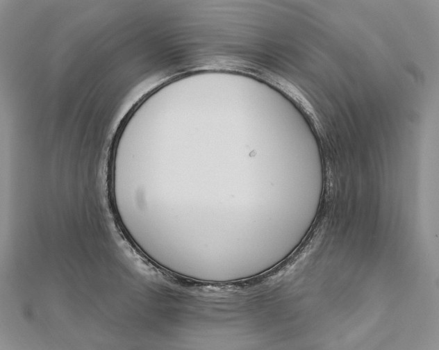 X0000112501138200908311447