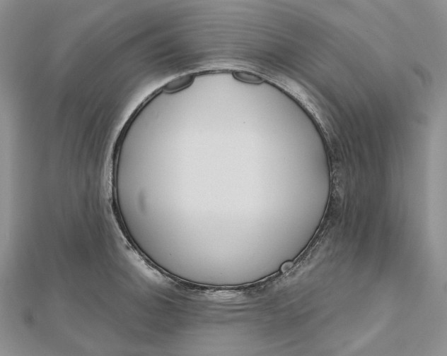 X0000112501140200908311447