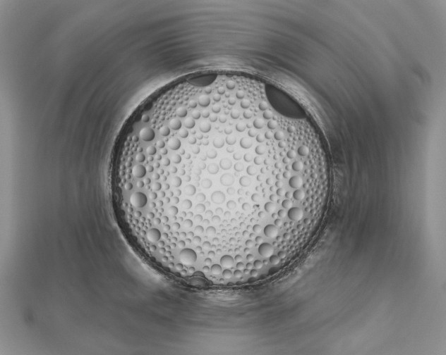 X0000112501141200908311447