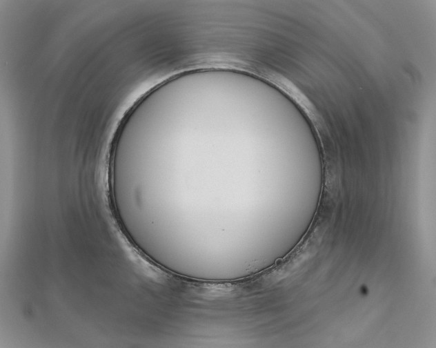 X0000112501144200908311447