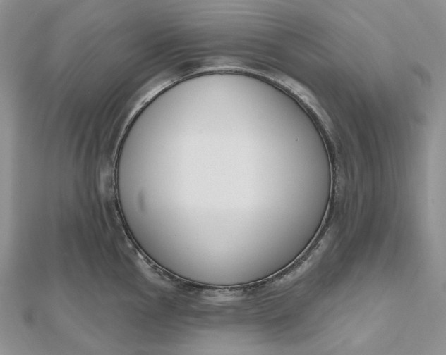 X0000112501145200908311447