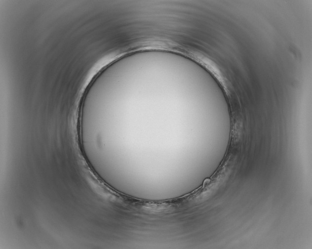 X0000112501146200908311447