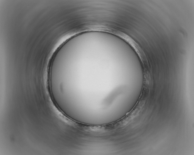 X0000112501147200908311447